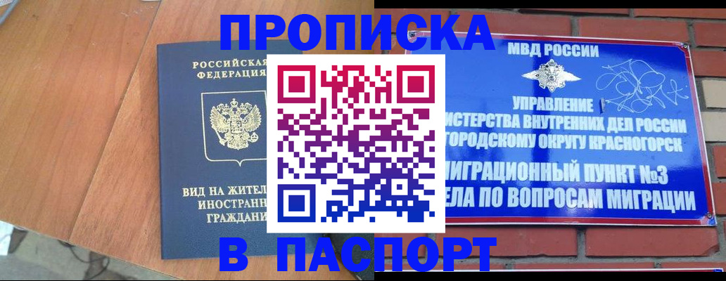 найти адрес прописки в Трубчевске
